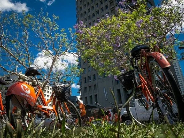 Buenos Aires Bike Tour: North District